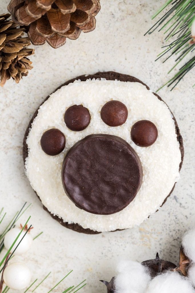 Polar bear cookie on counter surrounded by pine needles and pine cones