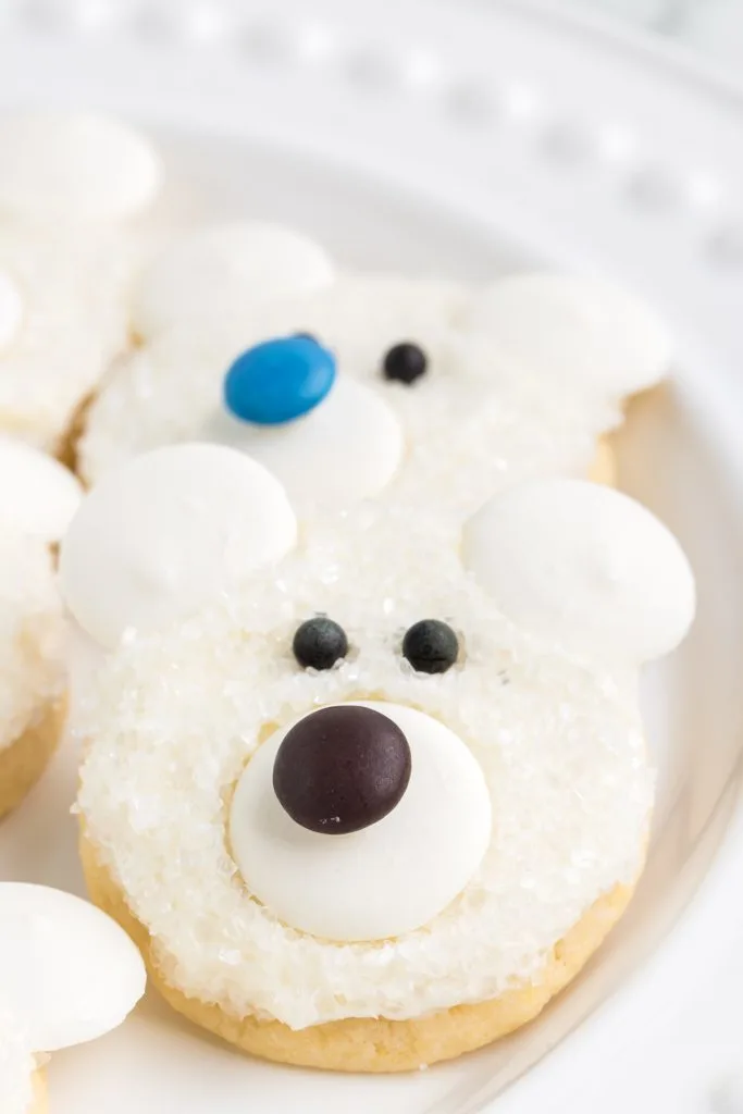 Close up of a polar bear face cookie featuring a brown nose on a white plate.