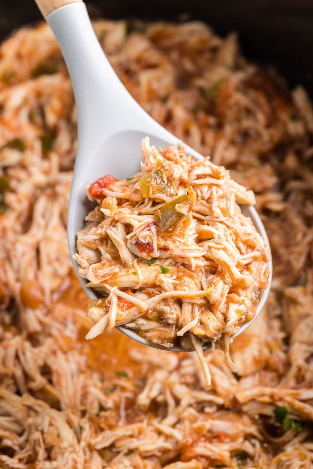 Slow Cooker Salsa Chicken