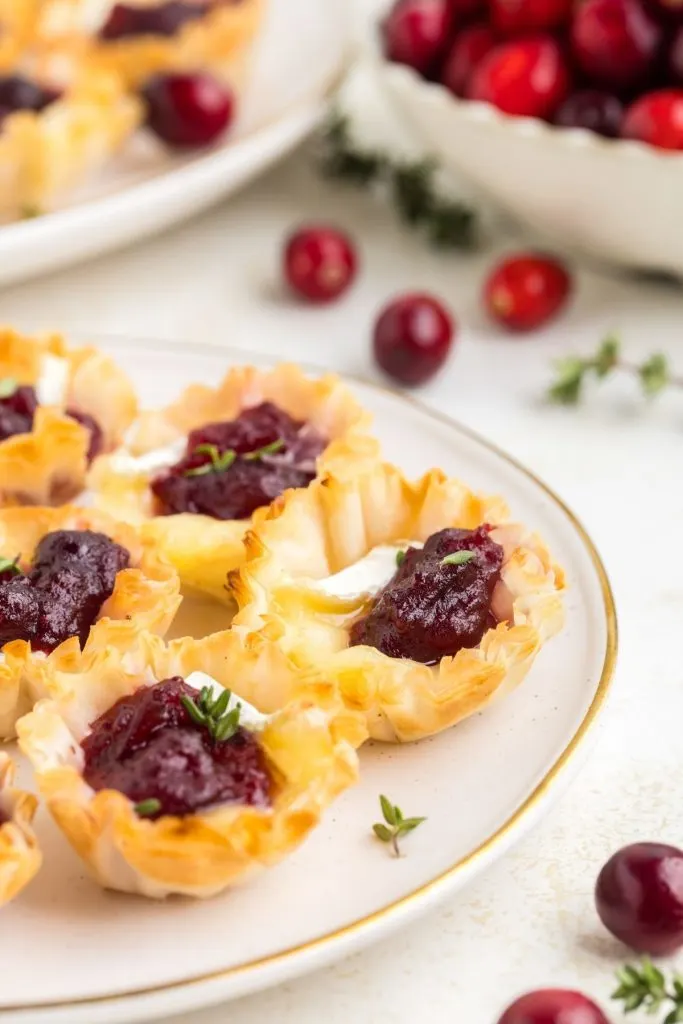 Plate of Cranberry Brie Appetizers with fresh cranberries in the background. 