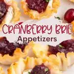 Cranberry Brie Appetizers Pinterest graphic.