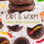 Dirt and Worm Cookies Pinterest graphic.