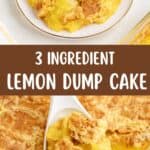 Plate of lemon dump cake with whipped cream and lemon slice beside baking dish. Text: 3 Ingredient Lemon Dump Cake.