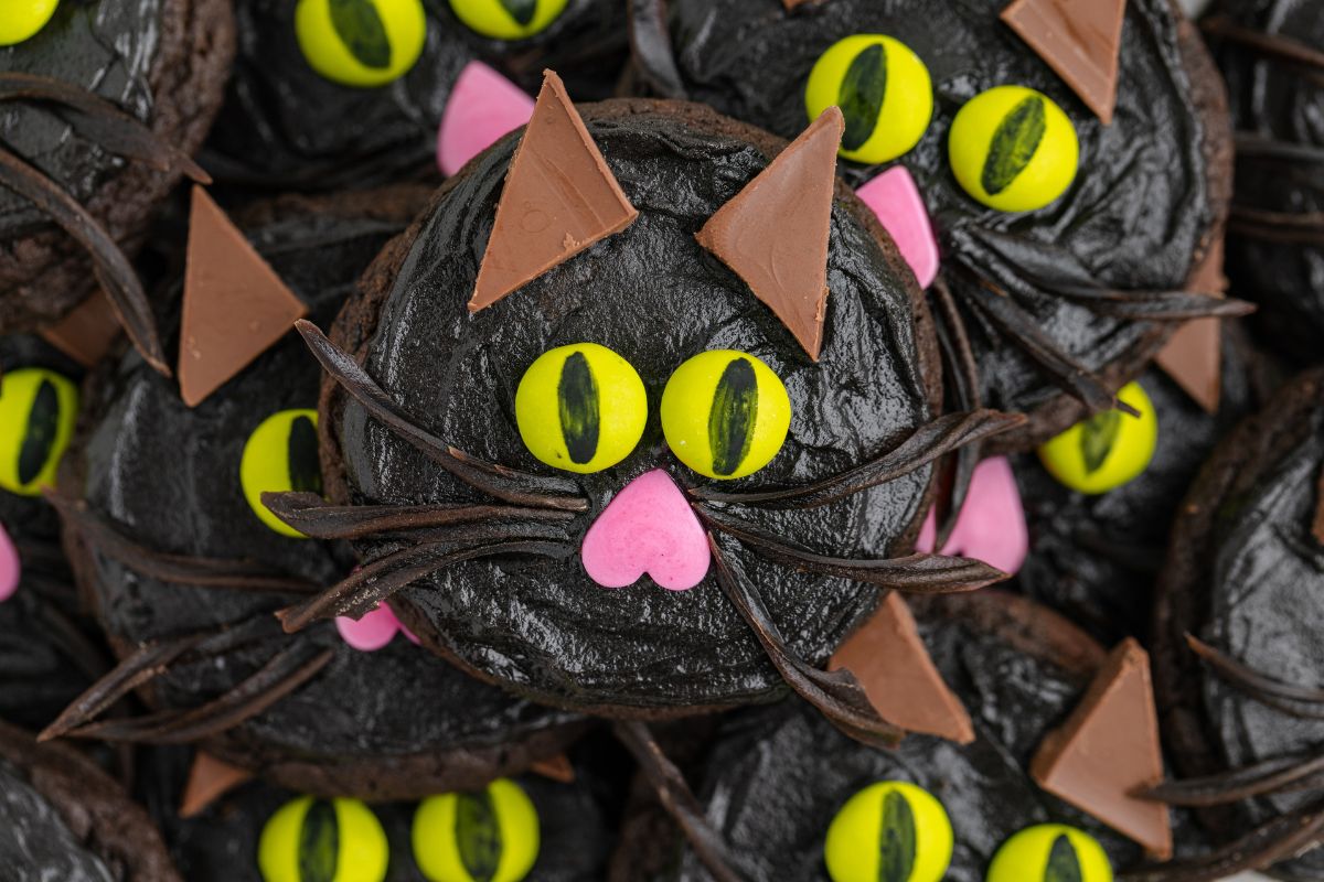 Black Cat Cookies - Semi Homemade Kitchen