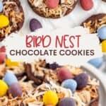 Chocolate cookies with toasted coconut and colorful candy eggs, resembling bird nests.