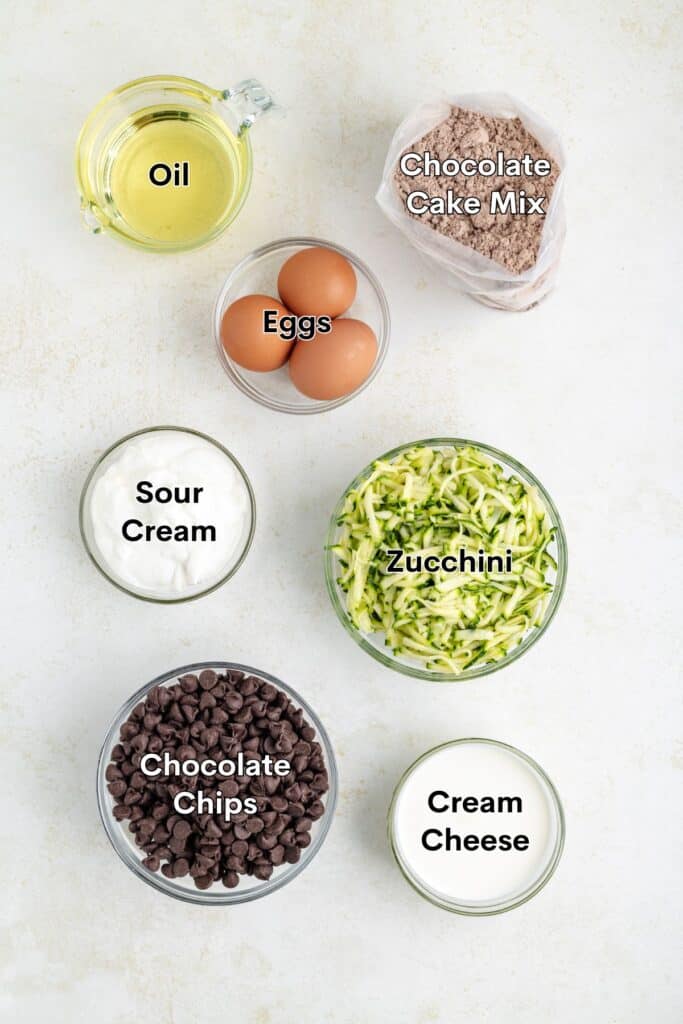 Top-down view of labeled bowls containing chocolate cake ingredients: oil, eggs, cake mix, sour cream, zucchini, chips.
