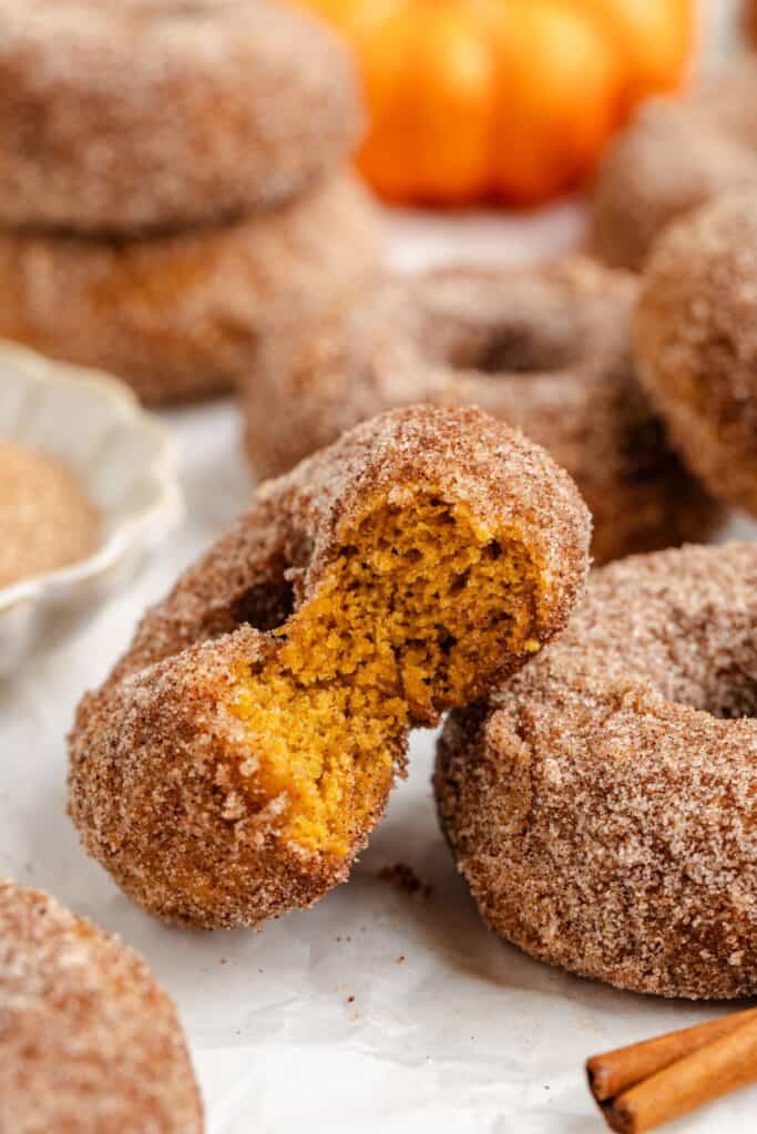 Close-up of cinnamon sugar bake pumpkin donuts, one bitten to reveal moist interior; more donuts and a small pumpkin behind.