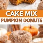 A stack of sugar-dusted baked pumpkin donuts, one bitten, with pumpkins and cinnamon sticks in the background.