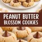 Plate of peanut butter blossom cookies with chocolate kisses, surrounded by more cookies. Text: Peanut Butter Blossom Cookies.