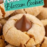 Close-up of peanut butter blossom cookies with chocolate kisses and a sign above reading Peanut Butter Cookies.