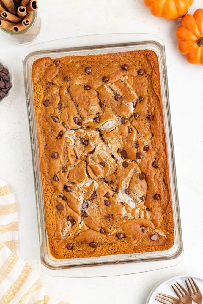 Baked pumpkin spice earthquake cake with chocolate chips in a glass dish, surrounded by pumpkins and cinnamon sticks.