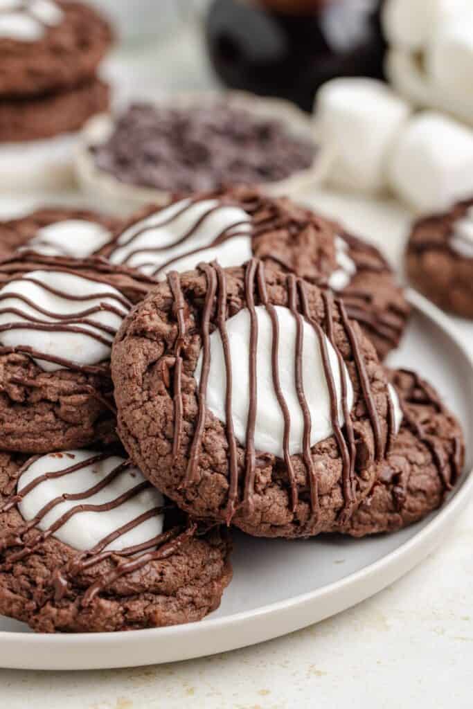 Plate of hot cocoa cookies with melted marshmallows and chocolate drizzle, marshmallows and chips in the background.