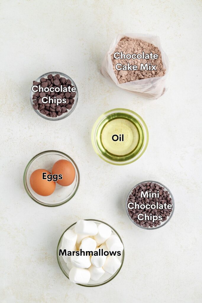 Top-down view of bowls containing labeled chocolate cake mix, chips, oil, eggs, and marshmallows on white background.