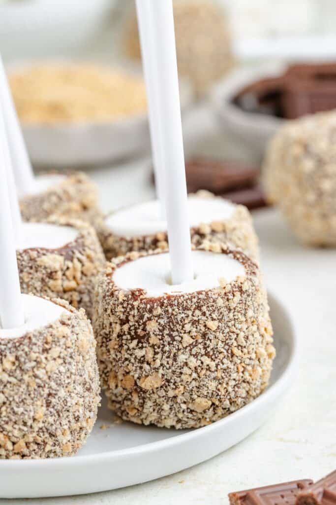 Chocolate and nut-coated marshmallows on sticks arranged on a white plate, with extra chocolate and nuts behind.