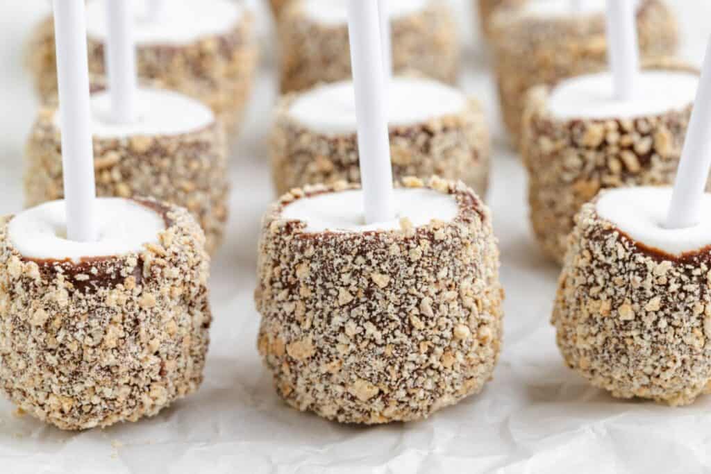 Close-up of smores pops neatly lined up on parchment paper.