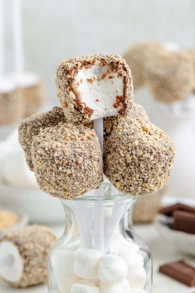 Chocolate- and graham cracker-coated marshmallows on sticks arranged in a glass jar of mini marshmallows, close-up view.