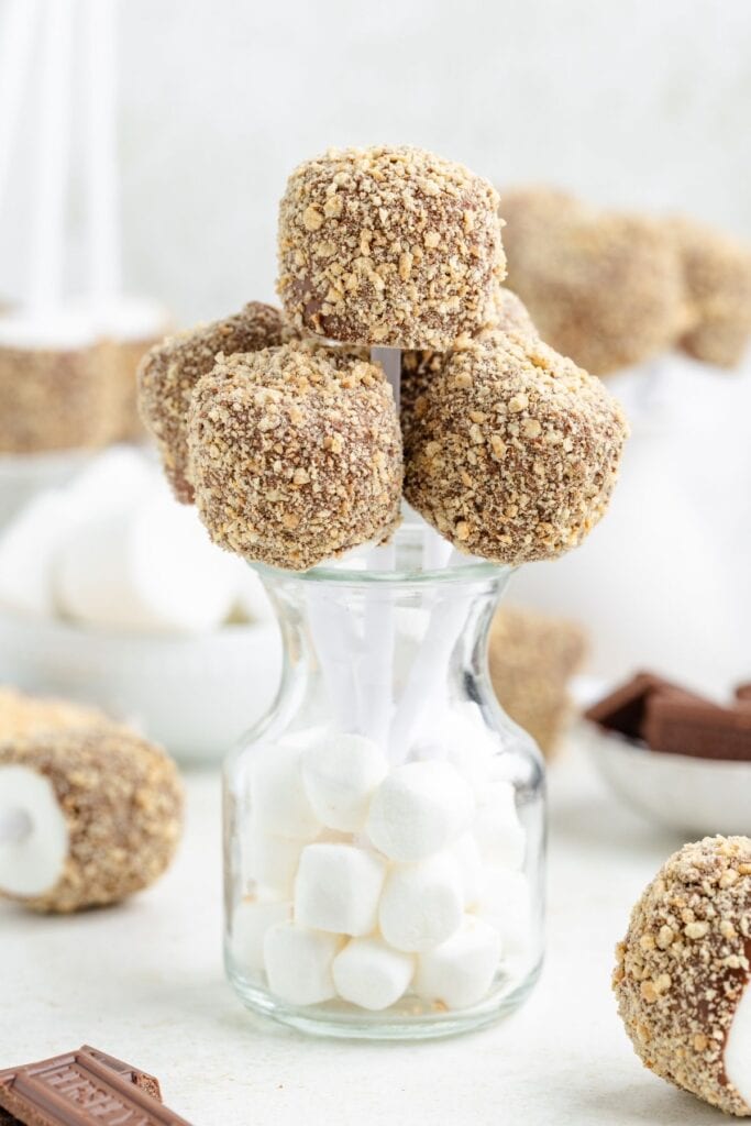 Smores pops coated in chocolate and crushed graham crackers stand in a jar filled with mini marshmallows.
