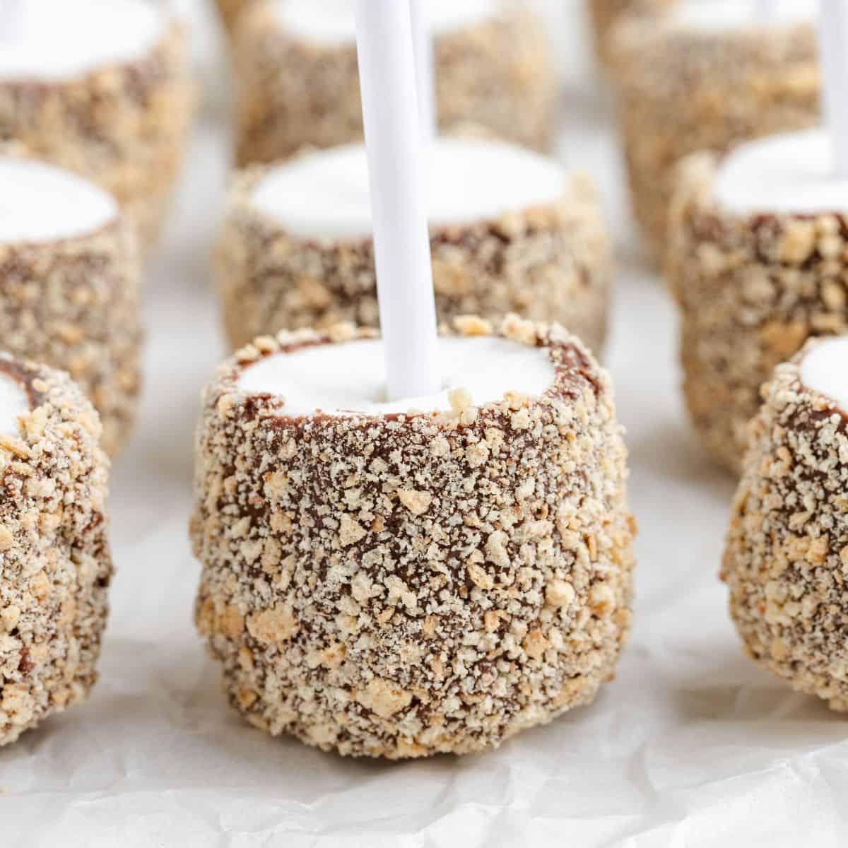 S'mores marshmallow pops coated in chocolate and graham cracker crumbs, lined up on a white background.