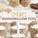 Smores marshmallow pops on sticks coated in chocolate and graham crackers, with recipe promo text.