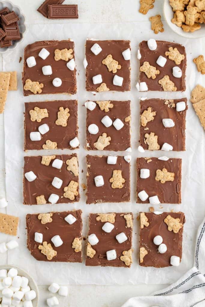 Chocolate s'mores bark with marshmallows and Teddy grahams on parchment, surrounded by graham crackers and chocolate pieces.