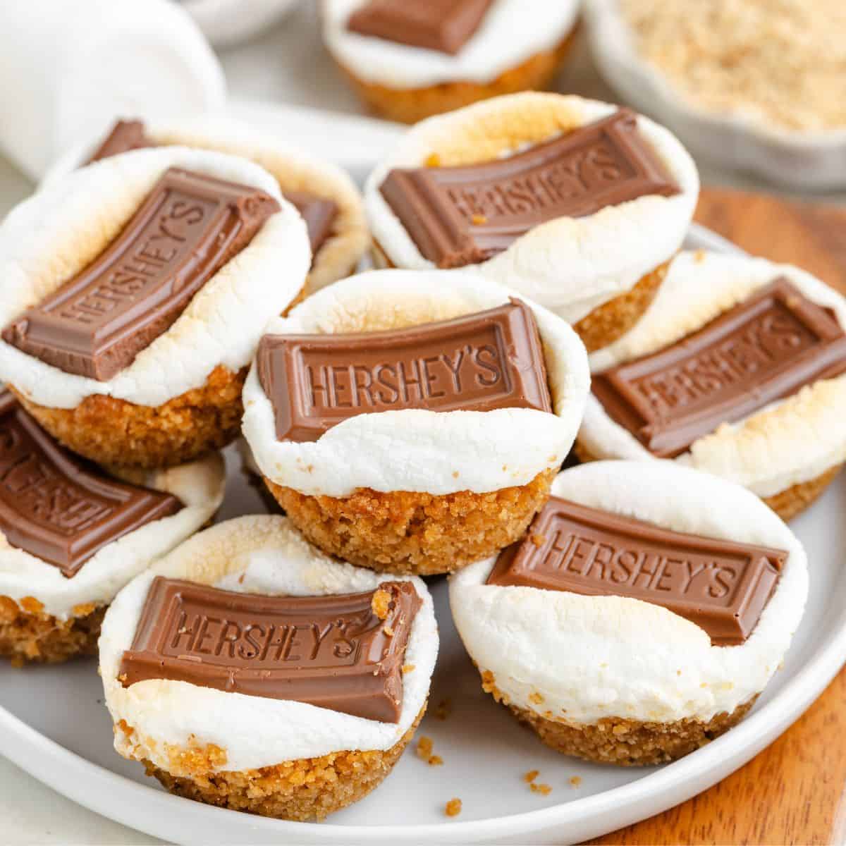 Plate of mini s'mores bites with graham cracker base, toasted marshmallow, and Hershey's chocolate pieces on top.