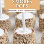 Close-up of chocolate-coated marshmallow pops with graham cracker crumbs on sticks; text: “Easy S’mores Pops.”.
