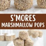 Marshmallow pops dipped in chocolate and graham cracker crumbs on sticks, shown on a table and in a jar; "Smores Pops" text.