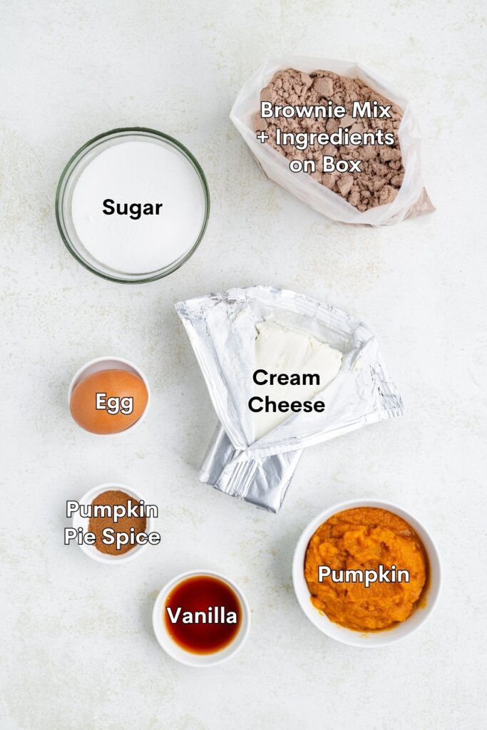 Top view of labeled pumpkin cream cheese brownie ingredients: sugar, egg, spice, vanilla, pumpkin, cream cheese, brownie mix.