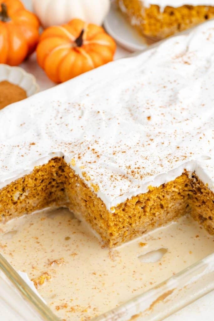 Rectangular pumpkin cake with whipped cream and spices, large corner missing; small pumpkins in the background.
