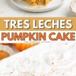 Slice of Pumpkin Tres Leches Cake with whipped topping and cinnamon on a plate, cake dish in background.