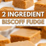 A stack of square 2 ingredient Biscoff fudge pieces with text reading 2 Ingredient Biscoff Fudge.